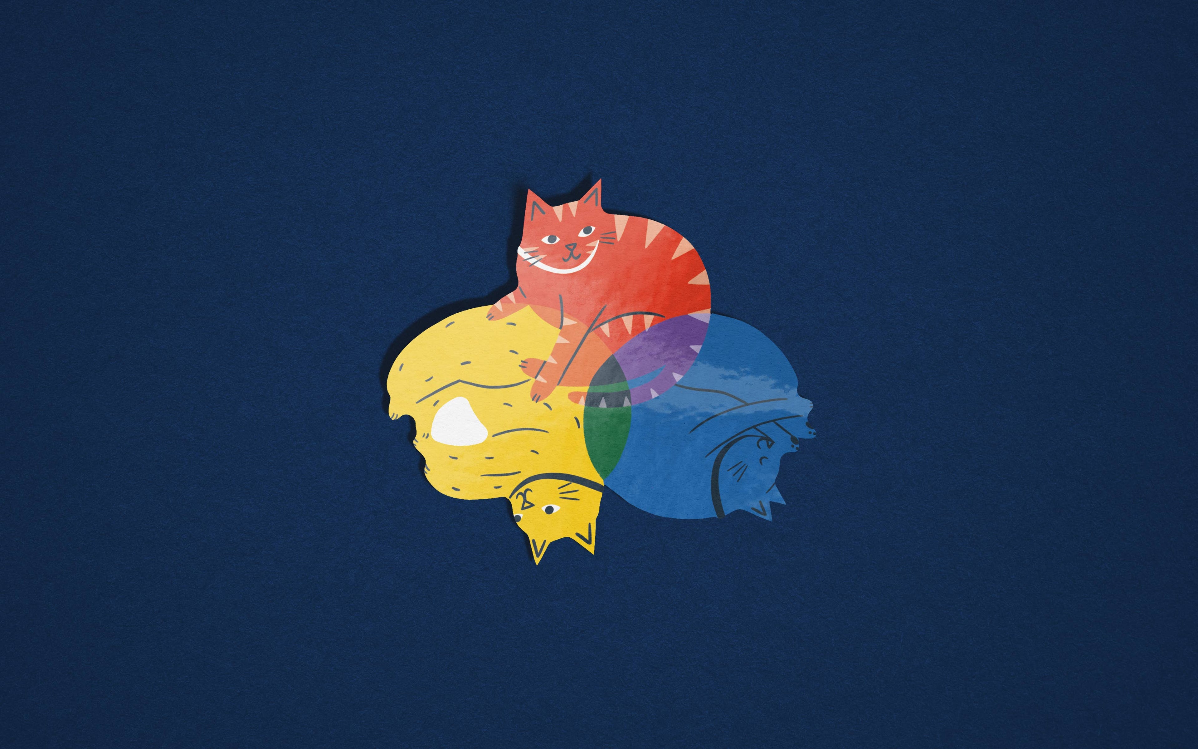 Colour Wheel Cats - Colourful Vinyl Sticker