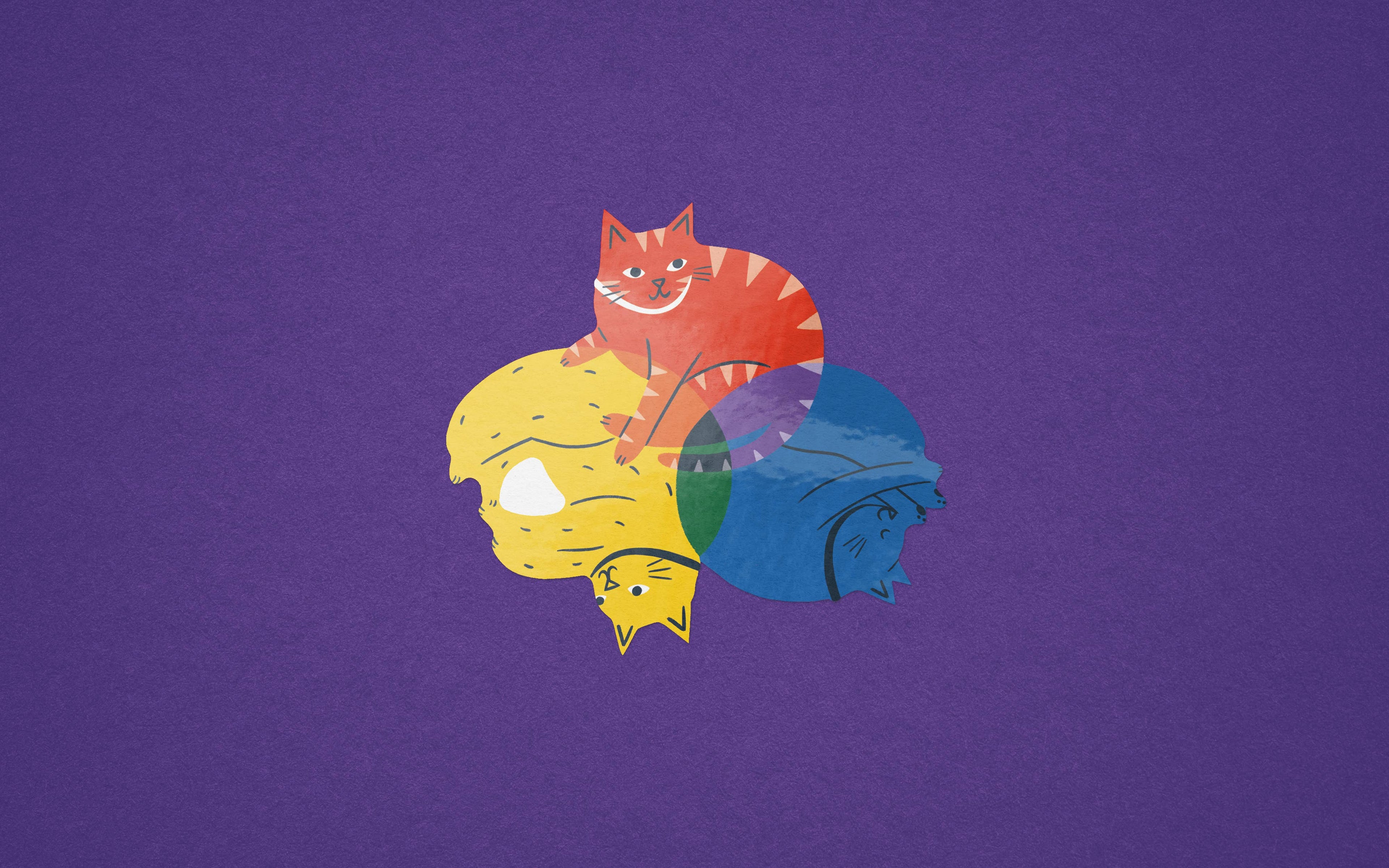 Colour Wheel Cats - Colourful Vinyl Sticker