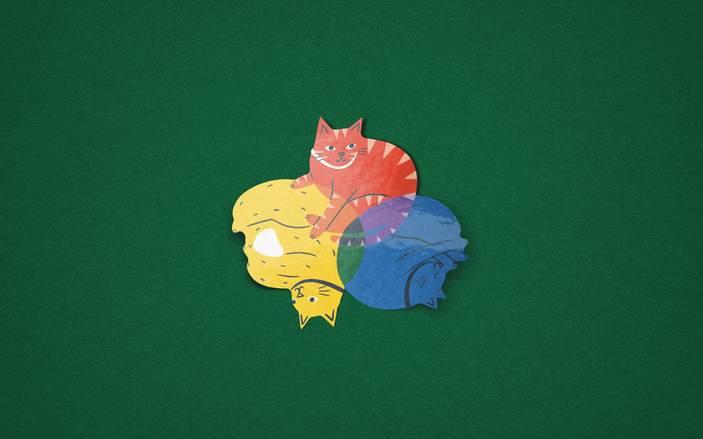 Colour Wheel Cats - Colourful Vinyl Sticker