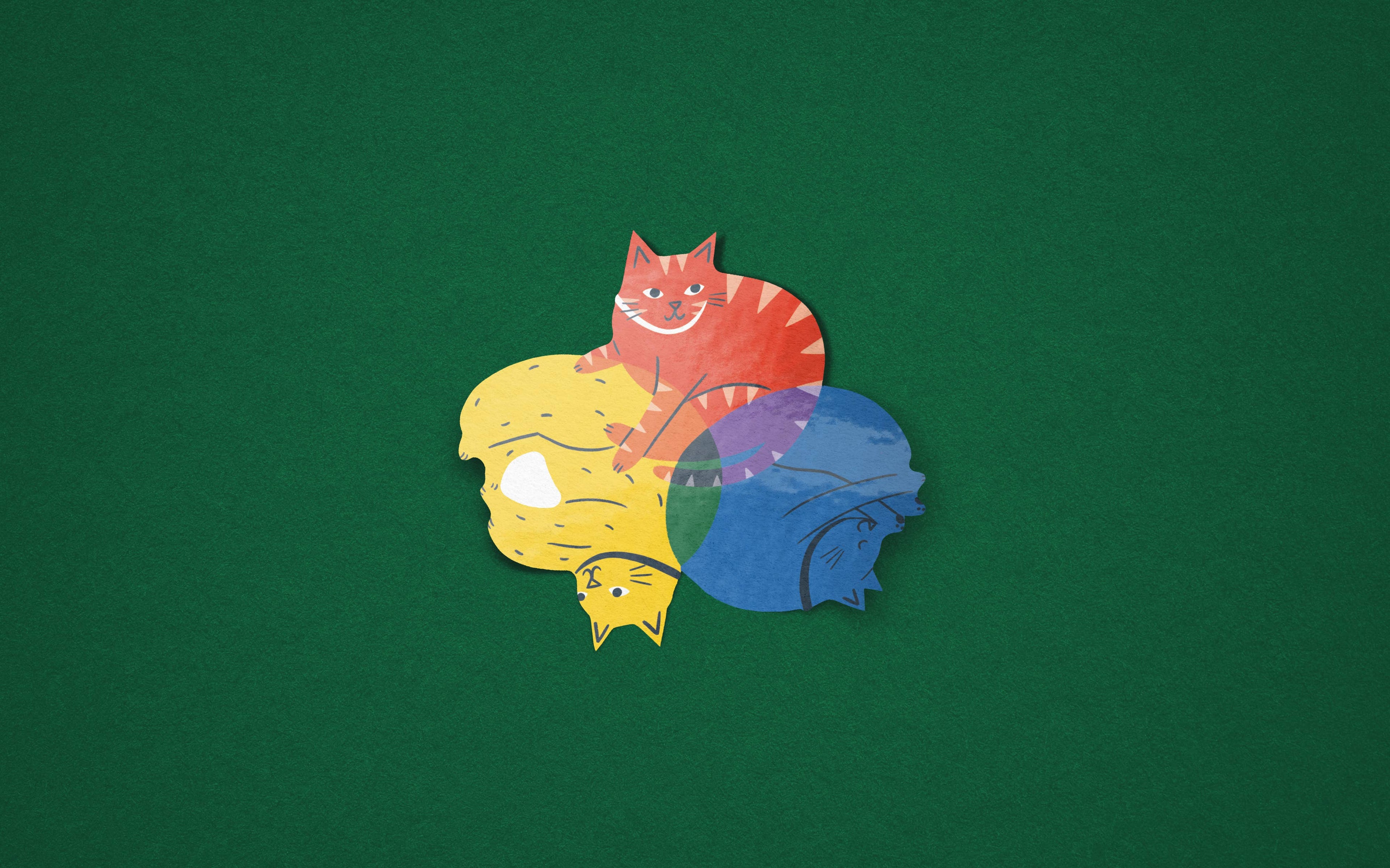 Colour Wheel Cats - Colourful Vinyl Sticker
